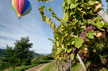 Vignoble alsacien © Benoit Facchi