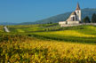 Vignoble alsacien © Benoit Facchi