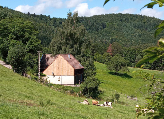 Bardage du gîte panda