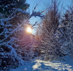 Vue d'hiver