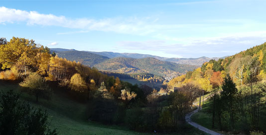 Vue depuis le gîte Panda en automne © Christine GOGUET